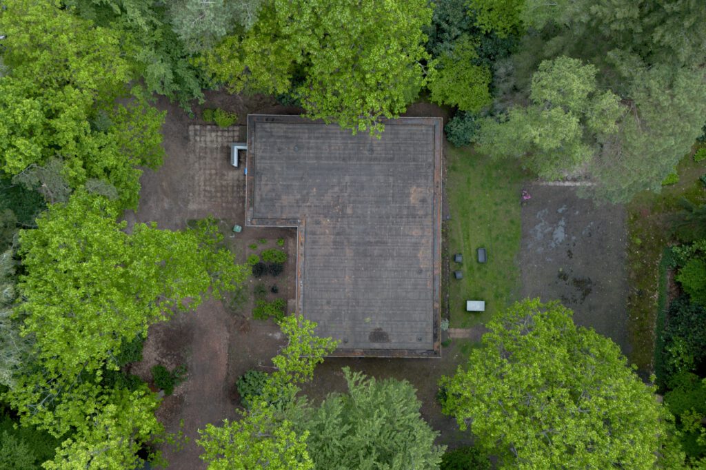 DJI 0364